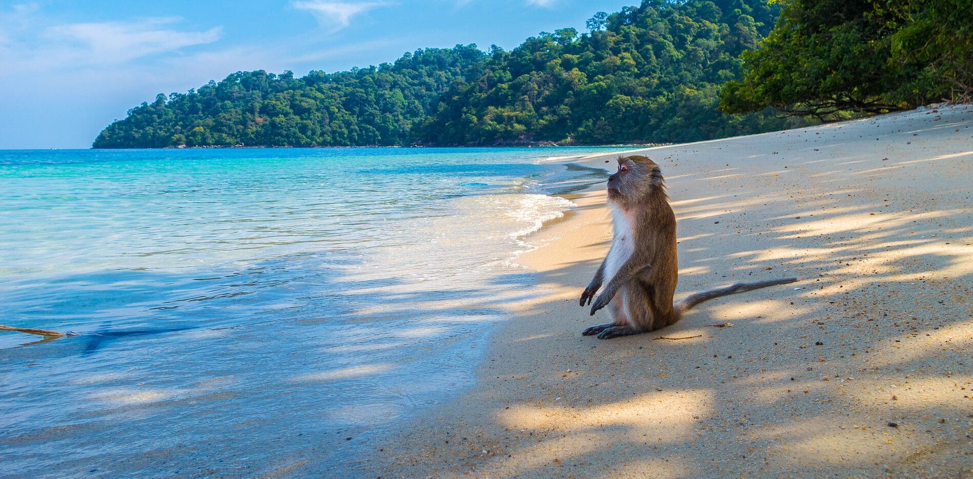 Thailand's most popular beaches