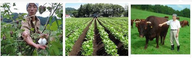 Japan Agriculture and Breeding